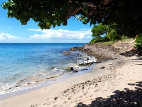 Pierre & Vacances Antigua 03 Sainte-Luce Ngoại thất bức ảnh